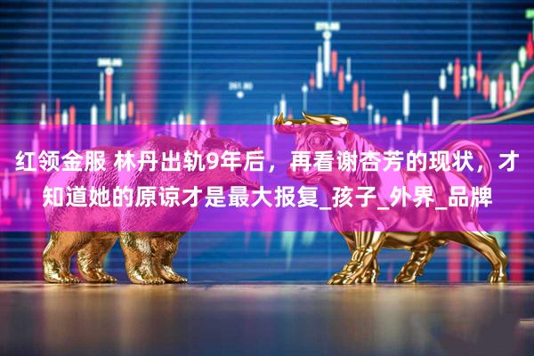 红领金服 林丹出轨9年后,再看谢杏芳的现状,才知道她的原谅才是最大报复_孩子_外界_品牌