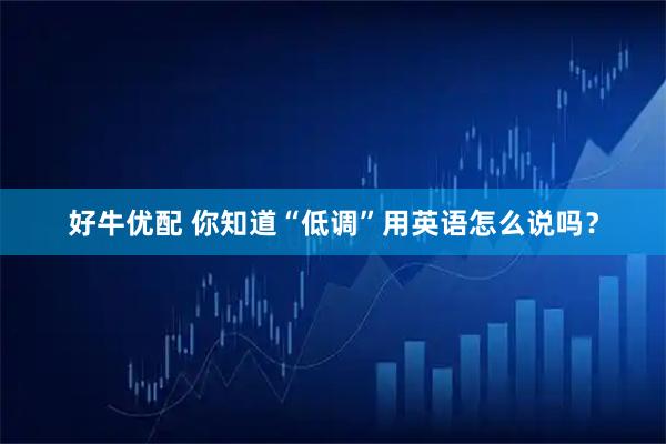好牛优配 你知道“低调”用英语怎么说吗？